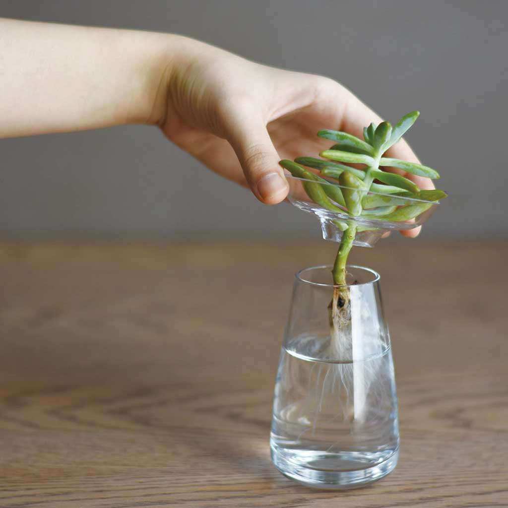 Kinto Aqua Culture Vase