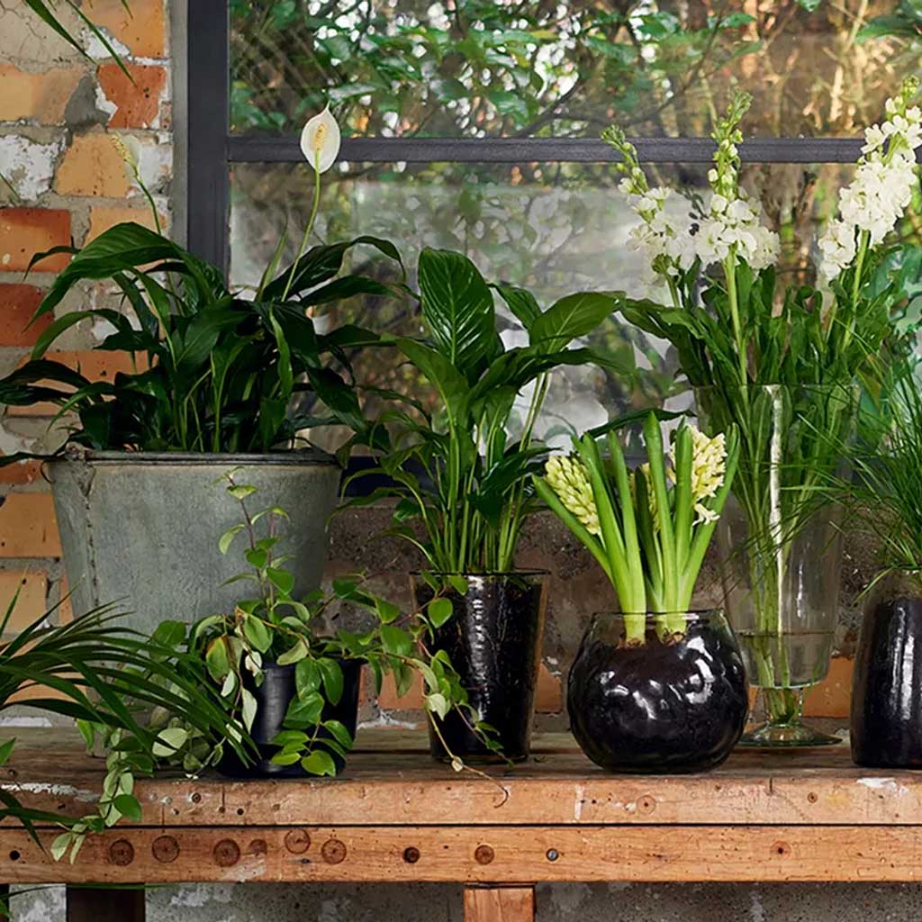Dappled Clear Conical Vase