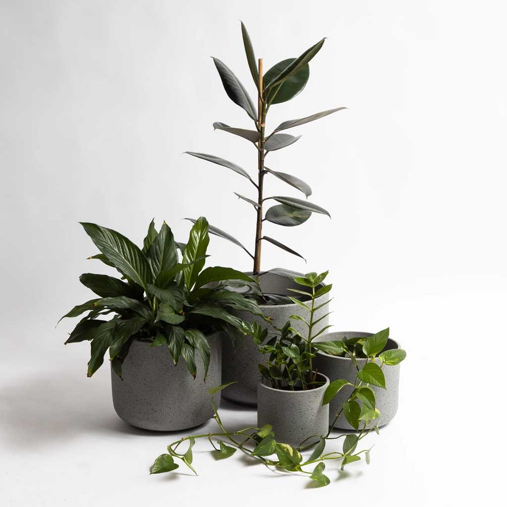Granito Planter - Grey